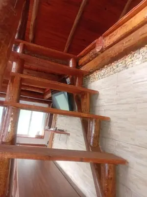 a wooden staircase in a room with wooden ceilings at Posta Nativa in Santa Rosa de Calamuchita