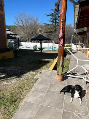 a black and white cat laying on a sidewalk near a pool at Complejo cerca del rio in Villa Carlos Paz
