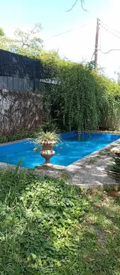 a pool of blue water with a plant in the middle at Casita in Cordoba