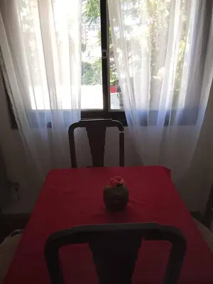 a table with a vase sitting on top of it next to a window at Casita in Cordoba