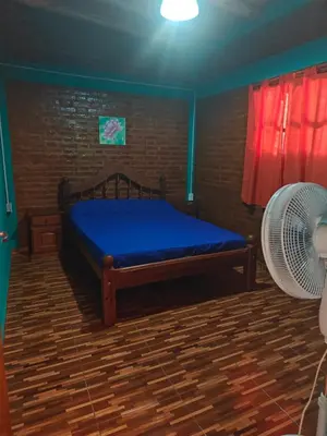 a bedroom with a blue bed and a fan at Alojamientos La Clarita in Arroyo de Los Patos