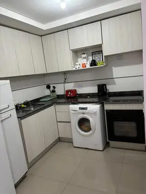 a kitchen with a dishwasher and a washing machine at Calma Urbana in Cordoba