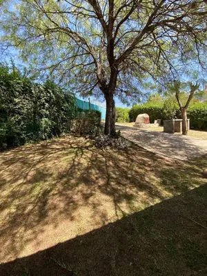 a tree is casting a shadow on the grass at Bendecida in San Antonio de Arredondo