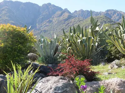 a garden with plants and mountains in the background at Hostal La Quebrada in Cortaderas
