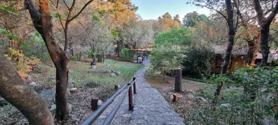 a path in a park with trees and a building at Hostal La Quebrada in Cortaderas