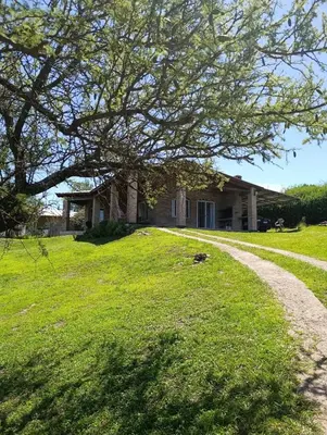 a house on a grassy hill with a tree at Pacha Samay in Villa Parque Siquiman