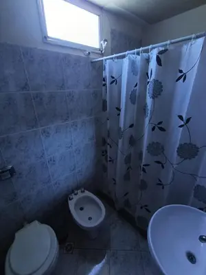 a bathroom with a toilet and a sink and a shower curtain at Pacha Samay in Villa Parque Siquiman