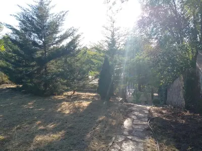 a path in a field with trees in the background at Espacio de relax in Trapiche