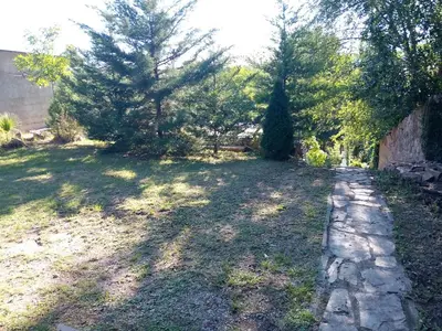 a yard with trees and a stone path at Espacio de relax in Trapiche