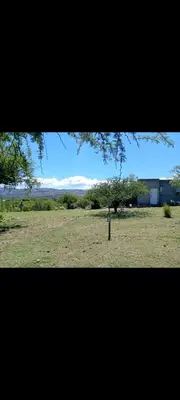 a view of a field with a tree in a field at Crespito in San Lorenzo