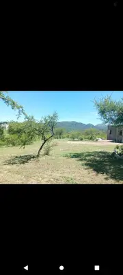 a view of a field with a tree and a building at Crespito in San Lorenzo