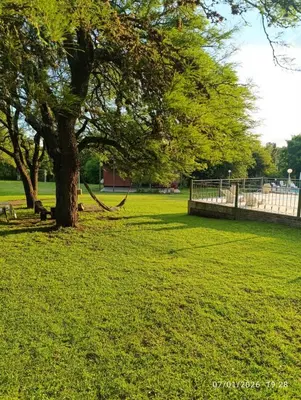 a tree in the middle of a grass field at Cabañas Viena II cerquita de Villa General Belgrano in Villa Ciudad Parque