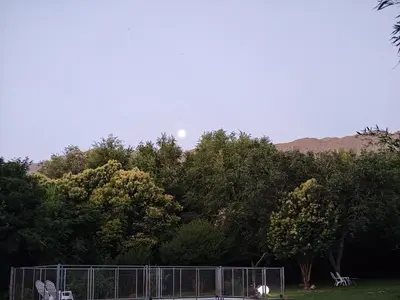 a fence in front of a bunch of trees at Las Toribias II in El Rincón