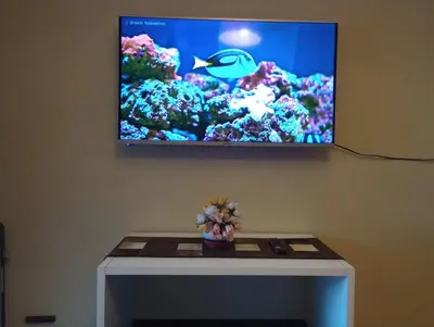 a tv hanging on a wall with a fish on it at Departamentos Ecuador in Villa Carlos Paz