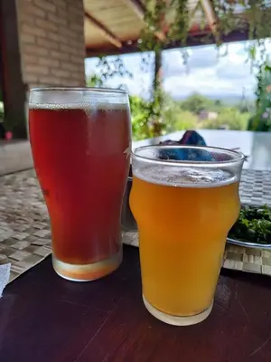 two glasses of beer sitting on a table at Casasdecampo pasabaxaqui in Villa Anizacate