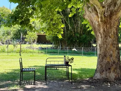 a park with two chairs and a table next to a tree at Cabaña en villa de las Rosas in Villa de Las Rosas