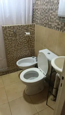 a bathroom with a toilet and a sink at La Casa Del Rio in Villa Santa Cruz del Lago