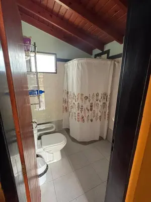 a bathroom with a toilet and a shower curtain at Tayimapu in Merlo