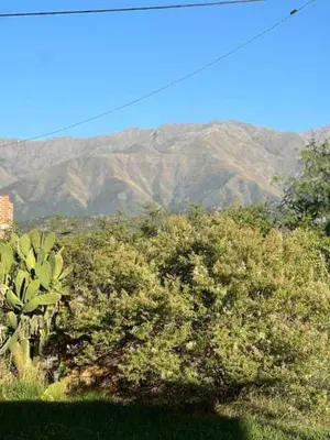 a group of trees with mountains in the background at El paraíso de Tu Descanso in Villa de Las Rosas