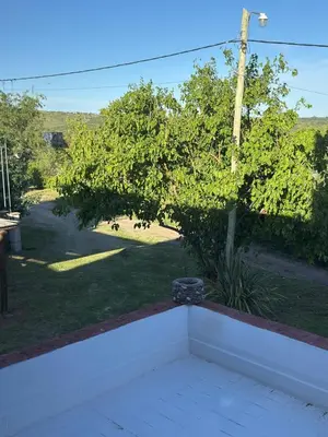 a view of a yard with a tree at Altos de ensueños in Alpa Corral