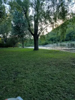a tree in the middle of a grassy field at La Serranita de Miguel in Villa Serranita