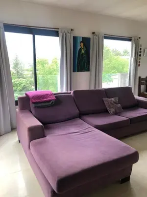 a purple couch in a living room with windows at Casa- alojamiento Gerez in San Antonio de Arredondo