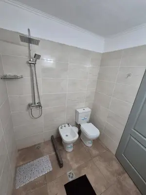 a bathroom with a toilet and a shower at Colibri 3 in Merlo