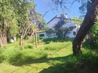 a white house in a yard with trees and grass at Casa Mudita in Cordoba