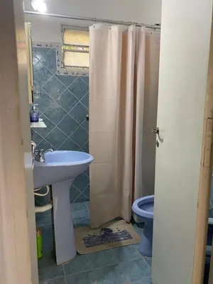 a bathroom with a sink and a toilet and a shower at San Plácido in Bialet Massé