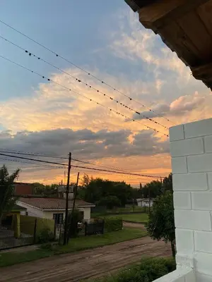 a group of birds sitting on power lines at Depto Dos Plantas en Bialet Massé in Bialet Massé