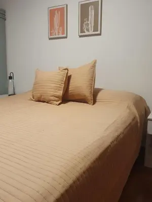 a bed with two pillows on top of it at Cómodo departamento en Nueva Córdoba in Cordoba