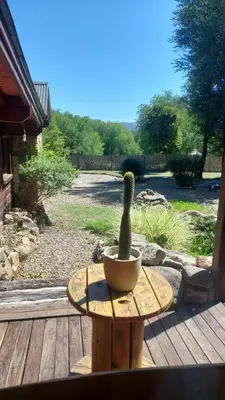 a cactus sitting in a bowl on a wooden table at Tierra de Sueños in Santa Rosa de Calamuchita