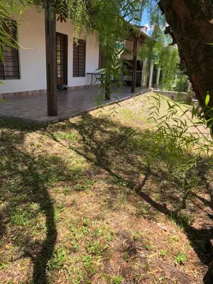 a shadow of a tree on the grass in front of a house at La Casa de Juan in San Antonio de Arredondo