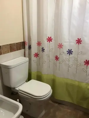 a bathroom with a toilet and a shower curtain with flowers at La Casa de Juan in San Antonio de Arredondo