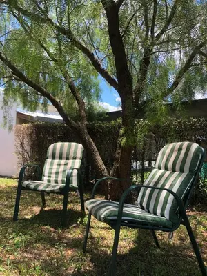 two chairs sitting in front of a tree at La Casa de Juan in San Antonio de Arredondo