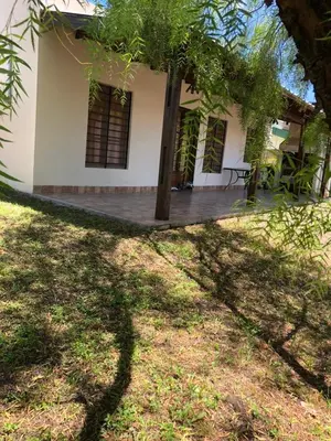 a shadow of a tree in front of a house at La Casa de Juan in San Antonio de Arredondo