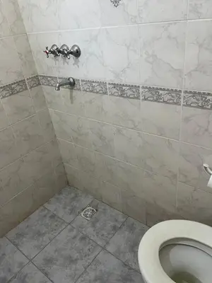 a bathroom with a toilet and a shower at La soñada San Antonio de Arredondo in San Antonio de Arredondo