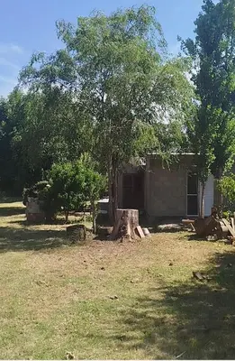 a house with a tree in front of it at Cabaña rio de los sauces in Río de los Sauces
