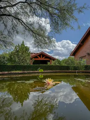 a pond in front of a building with a flower in it at Complejo Udacha - APART in Carpintería