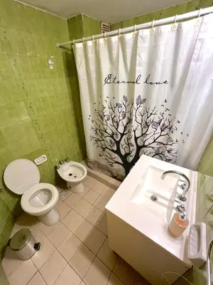 a bathroom with a toilet and a shower curtain at Departamento amplio 4 personas Zona Nueva Córdoba in Cordoba