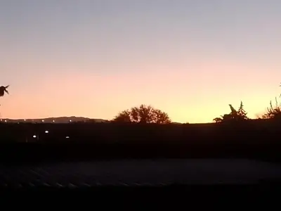 an image of a sunset in a field at Latido de Montaña in Bialet Massé