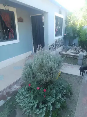 a dog standing in front of a house at Latido de Montaña in Bialet Massé