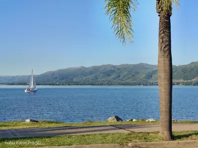 a sail boat on the water with a palm tree at Marcelina in Villa Carlos Paz