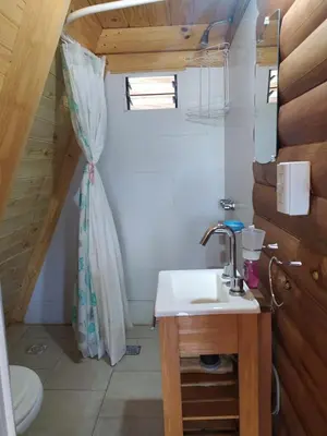a bathroom with a sink and a shower curtain at La Soñada in Santa Rosa de Calamuchita