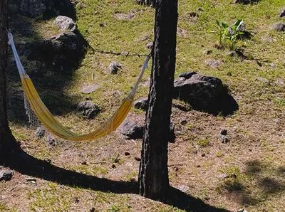 a yellow hammock tied to a tree in a field at La Escondida, casa completa para 6 en Calamuchita in La Cruz