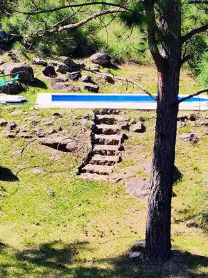 a tree and a stone stairway next to a tree at La Escondida, casa completa para 6 en Calamuchita in La Cruz