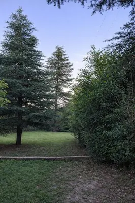 a park with two trees and a path in the grass at El Bosque de Simba - Casa in La Estancia
