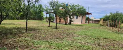 a yard with trees and a house in the background at Aire de montaña in Quebrada de los Pozos