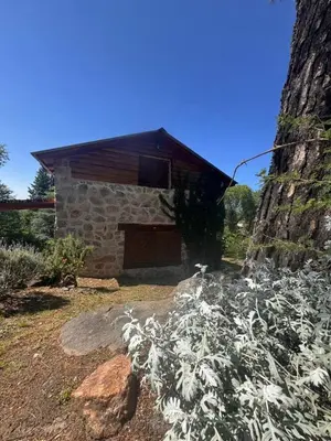 a stone house with a tree and a building at Stone Cabin, PETRA HAUS in Cuesta Blanca