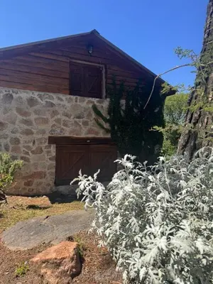 a stone building with a wooden door and some plants at Stone Cabin, PETRA HAUS in Cuesta Blanca